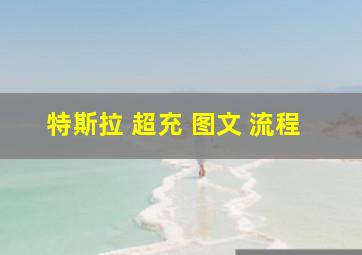 特斯拉 超充 图文 流程